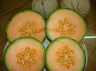 Iroquois Cantaloupe seed (Cucumis Melo)