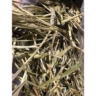 Wheatgrass Hay, 500g for Rabbits, Chinchillas and Guinea Pigs