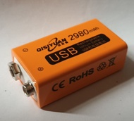 QISIYUAN 9V 2980mAh USB 充電電池
