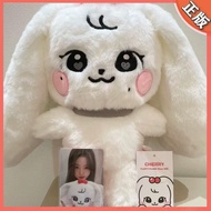 [POP Red Man Store] Flash Merchandise IVE Flash Flash Cherry03 Big Baby Zhang Ying'an Youzhen 30cm M