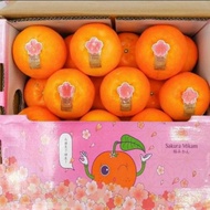 Jeruk Mandarin Mikam Sakura Japan 5 kg / Box untuk