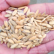 Cantaloupe Seeds Melon Cantaloupe Seeds Mesh Melon 1 Piece = 0.5kg10251217