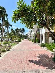 懶狗床和早餐酒店 (The Lazy Dog Bed & Breakfast)