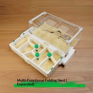 Spot Goods Nest Box Ant Pet Ant Landscaping Folding Ecological Flat Ant Nest Ant Ecological Box
