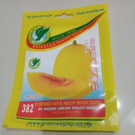 F1 HIBRID MELON BULAN MADU / ROCK MELON MOON LIGHT 382