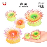 Children Enlightenment Cognition Sea Anemone Simulation Sea Animal Model Undersea Biological Sea Ane
