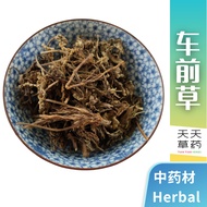 干车前草 100克 利尿消肿 清热利湿  Plantago Asiatica 100G 中草药 天天草药 CHINESE HERBAL TIAN TIAN HERBS