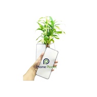 TG Tempered Glass Clear Glass Fingerprint Sam S24 FE