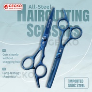 Hairdressing Scissors Set Straight & Thinning Shears, 440C Stainless Steel Salon & Home Use