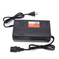 Seashorehouse 48V 12AH CN Plug 220V Intelligent Battery Charger for Electric Bicycle E-bike Electrombile Balance Scooter