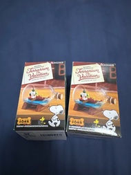 snoopy rement terrarium on vacation