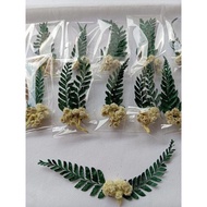 Dried Flowers Daun Bunga Edelweis Kering Hiasan Pinggiran Bingkai