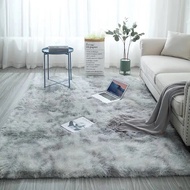 Premium Fluffy Area Rug Cute Shag Carpet Extra Soft and Shaggy Carpets Indoor Fuzzy Rugs for Living 