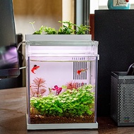 [Local Stock] QANVEE Mini Desktop Aquarium Starter Kit for Present Betta Fish Tank Mini Aquascape Aquarium Set