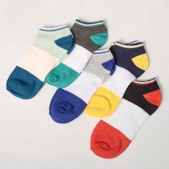 Roy Ankle Cotton Sock / Korean Style Cotton Socks / Cute Ankle Socks / Colourful Stockings