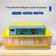 NEW Poultry Biomimetic Incubator Controllable Temperature Chicken Duck Goose Dove Quail Home Smart Small Egg Incubator