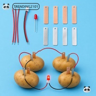 TRENDING Electricity Experiments Science Kit, STEM Experiment Kit Bio Energy Fruit Battery Science E
