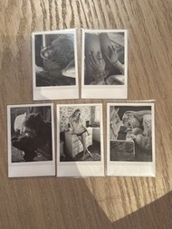 rolo1拍立得小卡