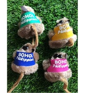 bohol souvenir ref magnet