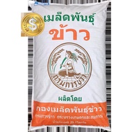 High quality seeds in stock in Thailand ready to ship your interest 105 jasmine rice, plump seeds, w