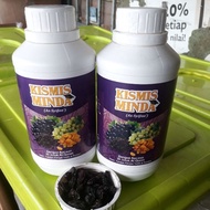 KISMIS DOA (30 JUZUK) & MINDA - AS SYIFAA'