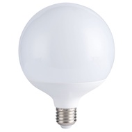 G120 LED globe bulb E27 20W Daylight White 6500K
