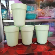 Aloha Tumbler (1)