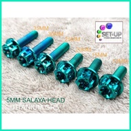 ◺ ❐ ☾ TITANIUM GR5 5MM BOLTS SALAYA HEAD