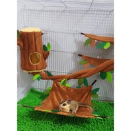 Pet Bed Set 2-Hole Log Light Brown 1 5 Pieces For Small Animals (Suga Glider Marmoset Chinchilla Squ
