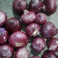Bawang Merah India /Bawang Peking 1kg