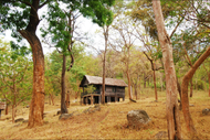 K古迪荒野營舍-叢林小屋 (K Gudi Wilderness Camp-Jungle Lodges)