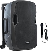 Gemini Sound AS-12TOGO - Portable Bluetooth Speaker with Trolley &amp; Microphone - Rechargeable Outdoor Speaker System for Events &amp; Karaoke - 1500W Powerful Sound, FM Radio, USB/SD Playback