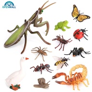 OPENMALL Educational Life Cycle Toys Realistic Animal Models Collection Insect Frog Spider Ducks Gee