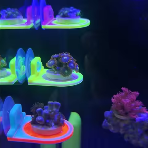 3D Printed SPS Coral Frag Holder Bracket Rack Support Fluorescent Marine Reef Tray Aquarium Decorati