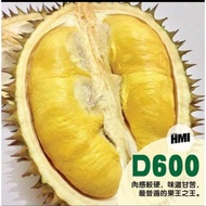 Anak Pokok Durian D600🌱🔥D600榴莲树苗 🌱🔥D600 durian Tree🌱🔥Hot Sale🔥