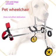 Disabled dogs, cats, wheelchairs, pets, mopeds, cats and dogs, general rehabilitation aids, exercises, hind leg supports