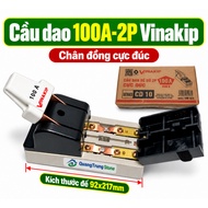 Vinkip 100A 2-phase circuit breaker - Vinakp 100A 2P one-way circuit breaker