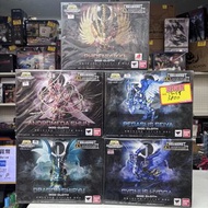 (葵興樂聲9樓門市現貨) 聖鬥士星矢 聖衣神話 10週年神聖衣版 5小強 Bandai Saint Seiya God Cloth 10th Anniversary 一 Set 5 隻
