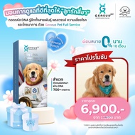 Geneus Pet | Dog DNA Test Breed Health Talent Habits Allergies Nutrition Food 1 Box