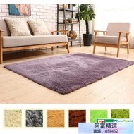 地毯 長毛超柔軟 絲絨防滑 不傷地板客廳 臥室 裝飾地墊 地毯 140x200cm
