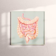複製畫-Guts | 腸子,大腸,小腸
