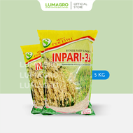 Benih Padi Pertiwi 5kg Bibit Inpari 32 33 42 Pak Tiwi 1 dan 2 Premium Pari Jumbo 5 Kg