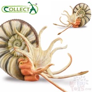 Pleuroceras Ammonite - Collecta 88902 Prehistoric Life Dinosaur Animal Action Figures / Toys Figurin