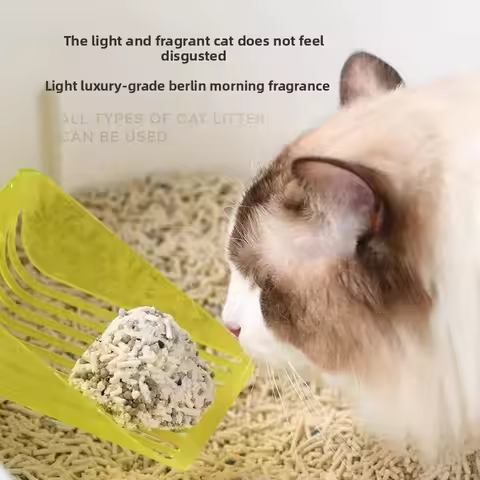 Cat Litter Deodorizer Beads 2 Week Odor Control Cat Feces Deodorizing Beads Cat Litter Companion Quw