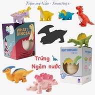 [HOT STEAM - LOẠI 1] ĐỒ CHƠI KHOA HỌC KHÁM PHÁ HATCHING DINOSAUR EGGS TOY TRỨNG KHỦNG LONG NGÂM NƯỚC