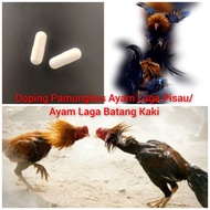 ☟Doping Ayam Laga (PAMUNGKAS)♒