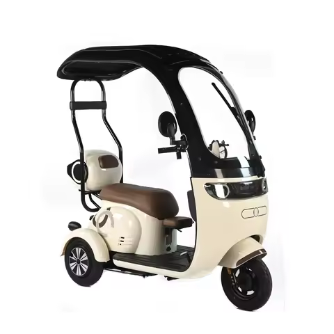 2024 New Electric Pedicab 500W Family Use Electric Tricycle Scooter 3 Wheel Electric Bike With Roofc