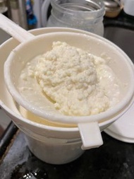 奶克菲爾 milk kefir