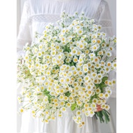 Premium Single Chamomile Artificial Daisy Flower Bouquet Fake Daisy Decor Dried Flower Arrangement H