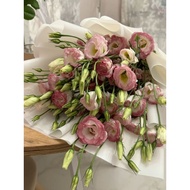 Fresh Eustoma (New Item) 🔥🔥